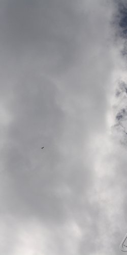 2013 Svojek Mirek Topinka